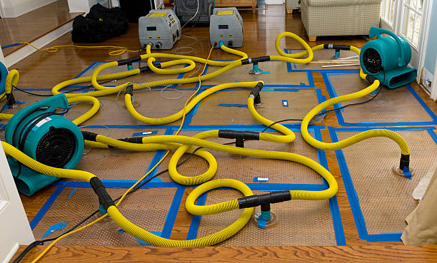 Professional Flood Damage Restoration technician working in Bear Creek, WI